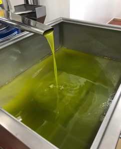 olio extravergine d'oliva